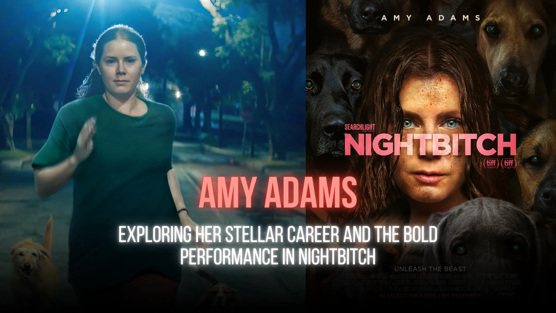 Exploring Her Stellar Career and the Bold Performance in Nightbitch