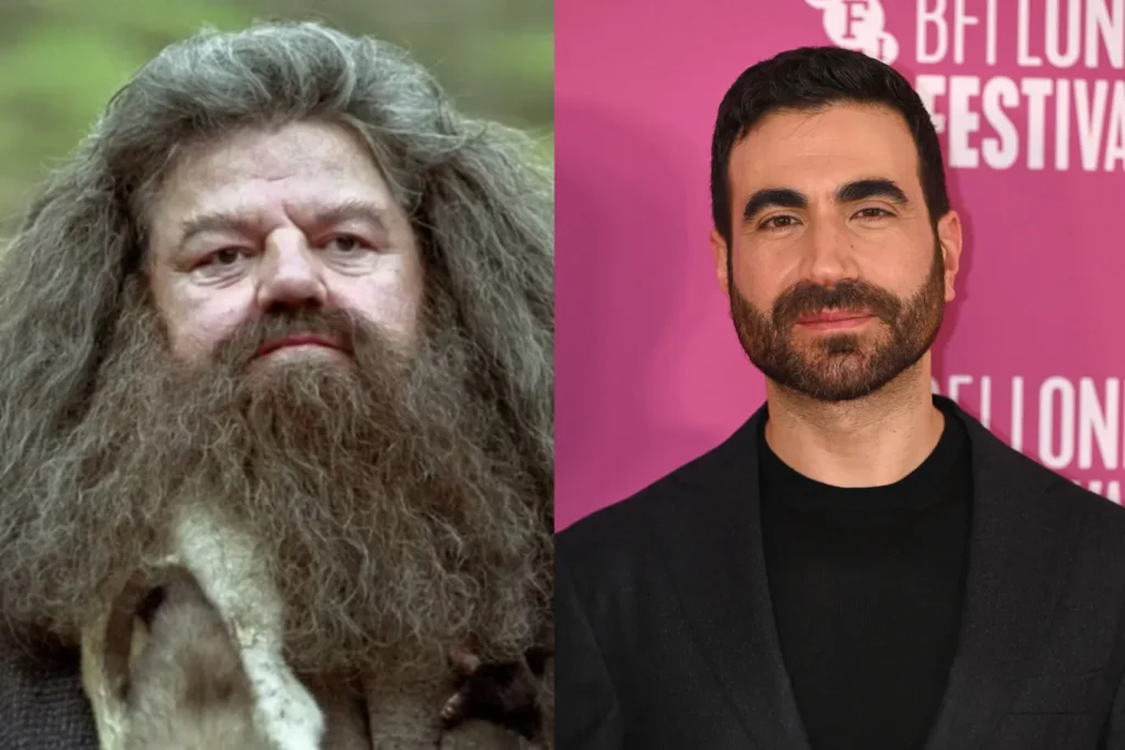 harry potter hagrid casting